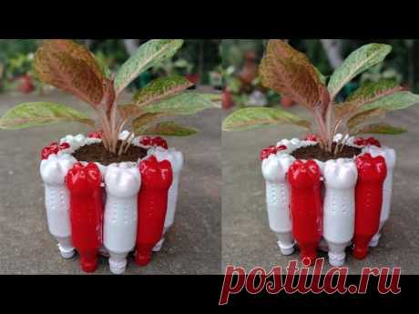 Spesial Kemerdekaan Indonesia || Pot Bunga Botol Bekas Merah Putih
