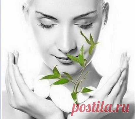 Рецепты красоты одной строкой | |