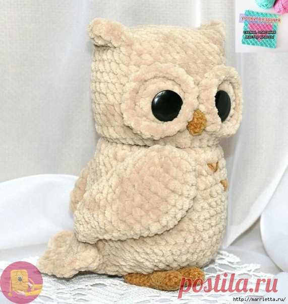 Вязание крючком совенка — Сделай сам, идеи для творчества - DIY Ideas
