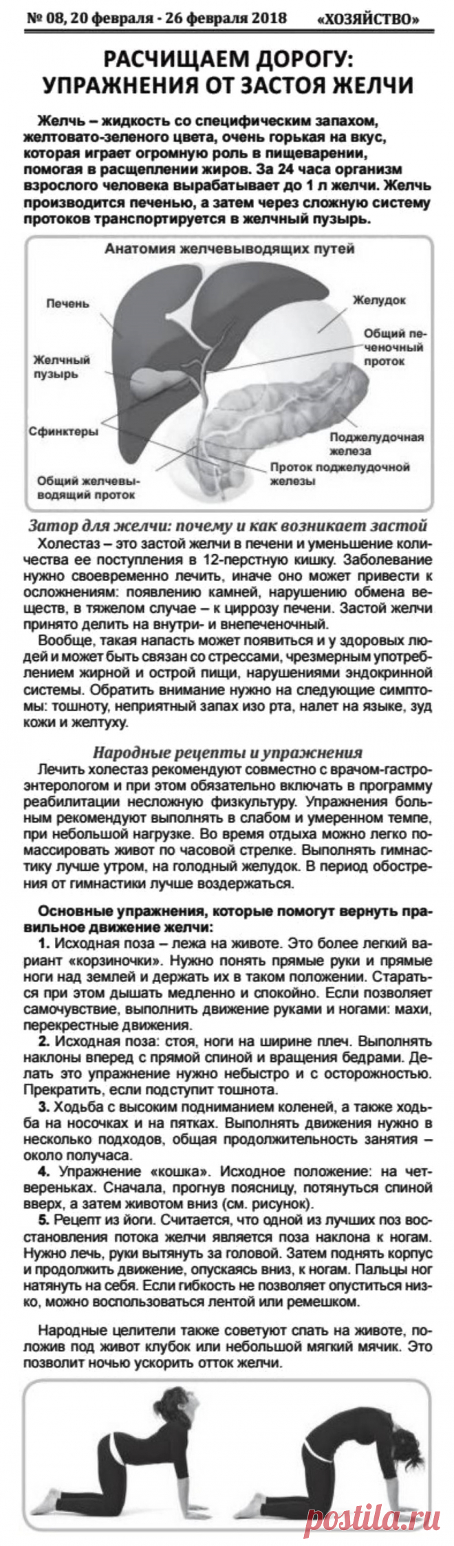 Упражнения от застоя желчи