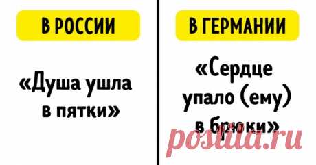 Как в разных странах звучат идиомы с одним и тем же смыслом . Чёрт побери
