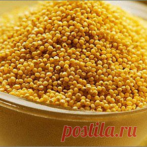 Одна из самых ценных круп &#8211; пшено | Maiden.com.ua