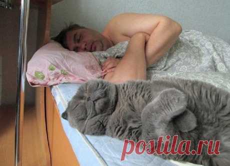 На одной волне