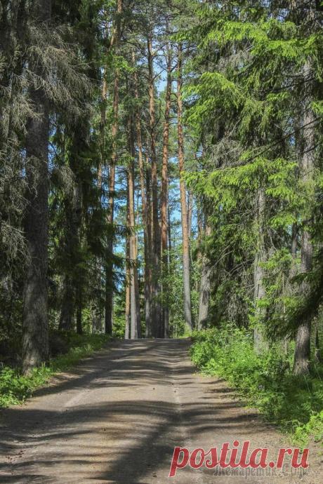 Смоленский скит, остров Валаам