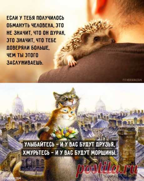 Совет дня – Фитнес для мозга