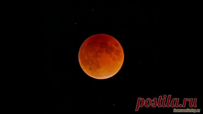 В 2019 года жители Москвы смогут увидеть лунное затмение и звездный дождь :: социальная сеть родителей