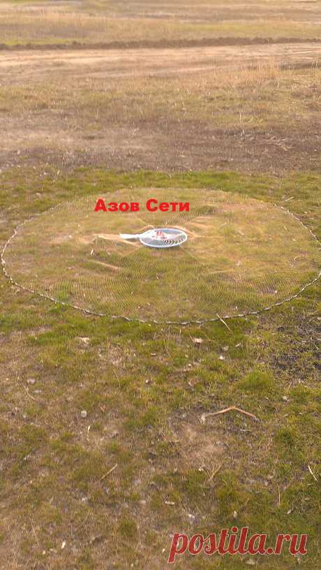 АЗОВ СЕТИ | Кастинговая сеть (azovseti.ru) 
Номер тел--8-909-431-19-92
Почта -- box@azovseti.ru
Сайт -- Azovseti.ru