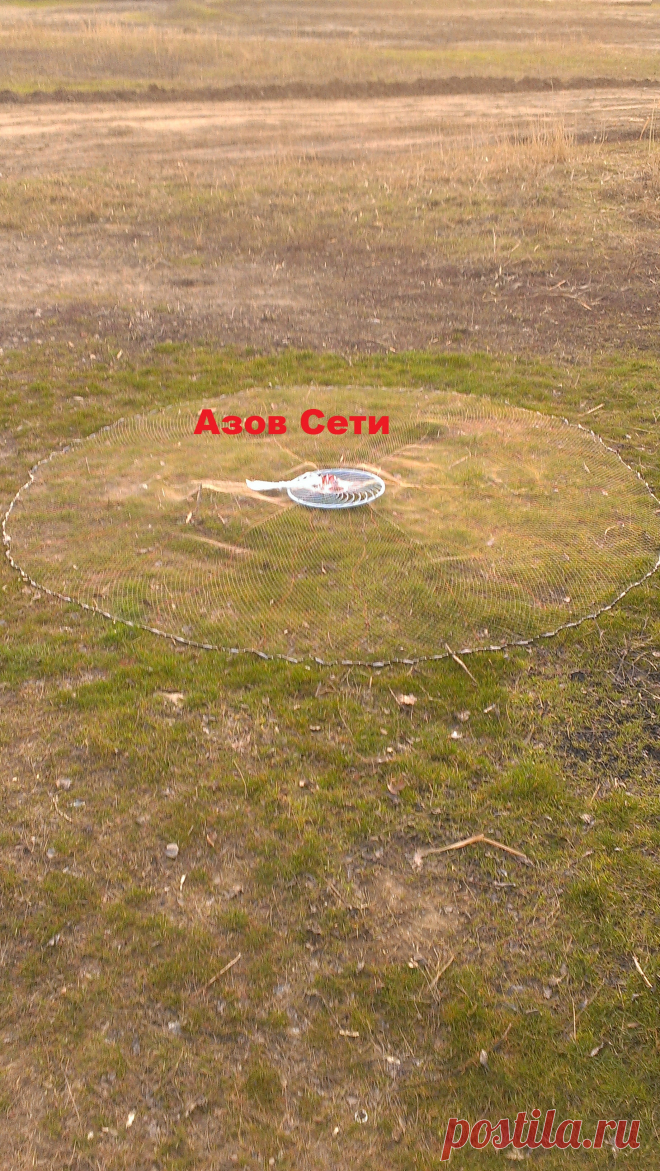 АЗОВ СЕТИ | Кастинговая сеть (azovseti.ru) 
Номер тел--8-909-431-19-92
Почта -- box@azovseti.ru
Сайт -- Azovseti.ru