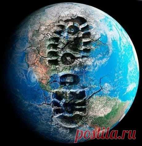 Что уничтожил человек на планете Земля за последние 50 лет | Мамам, женщинам, бабушкам и очень любознательным.