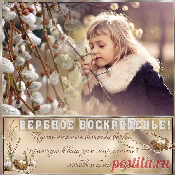 Пусть подарит верба чистый добрый свет! - Блог. Галина - Группы Мой Мир