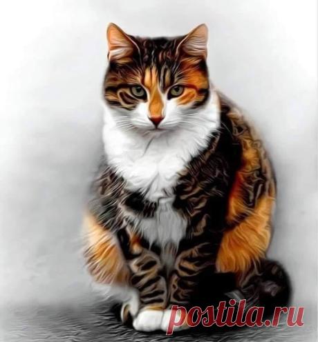 Открытки для поздравления