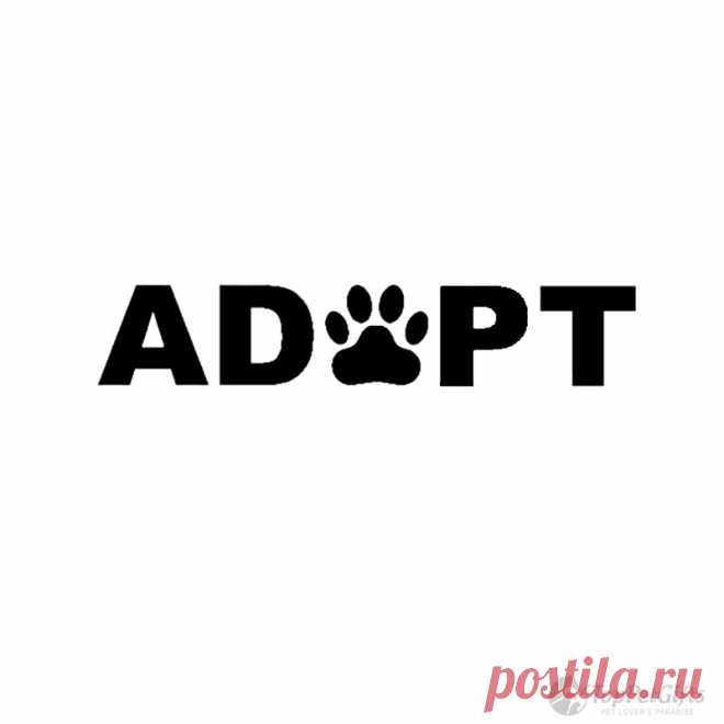 Adopt Paw Decal - Top Pet Gifts