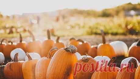 Врач рассказал, какой продукт поможет при борьбе с атеросклерозом | Bixol.Ru Настоящий бич современного человека, особенно в почтенном возрасте – атеросклероз.© unsplashДавно известно, что атеросклеротические бляшки крайне опасны.. Подробности читайте далее.