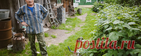 Переезд из города в деревню: с чего начать? Советы из опыта | Деревенское хозяйство