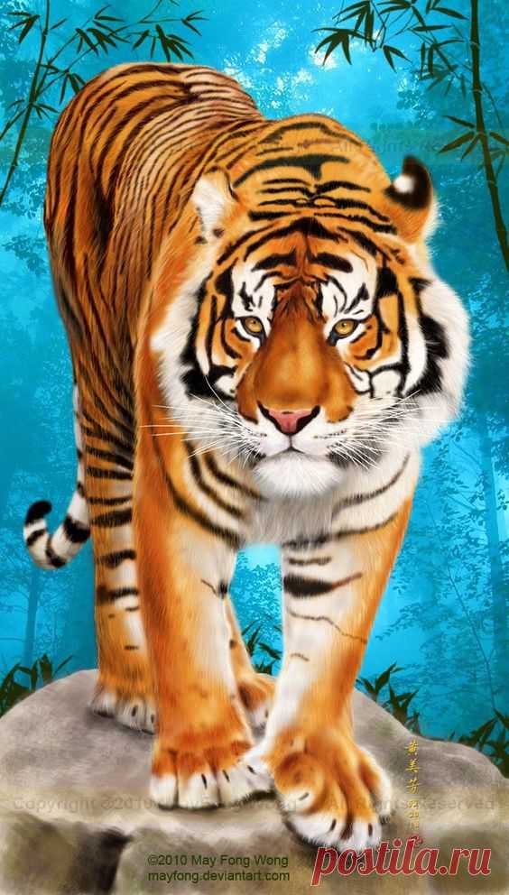 Kai Fine Art is an art website, shows painting and illustration works all over the world.