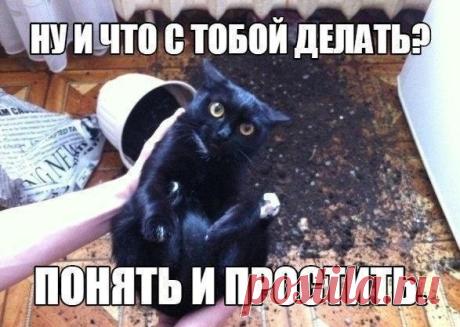Интересные новости