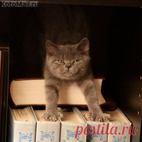 А ты записался в общество книголюбов ?