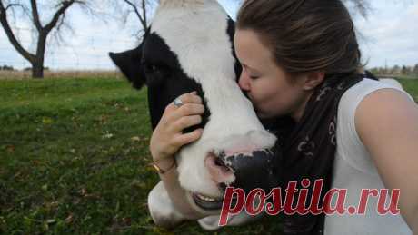 Обязательные правила безопасности при отказе от мяса | Все об Осознанной Красоте