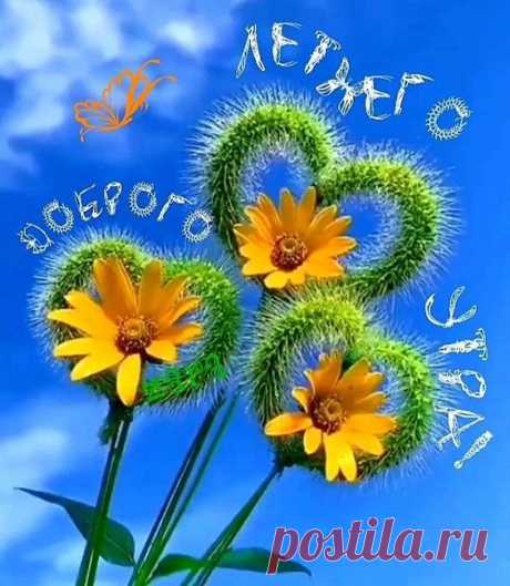 (1) Pinterest