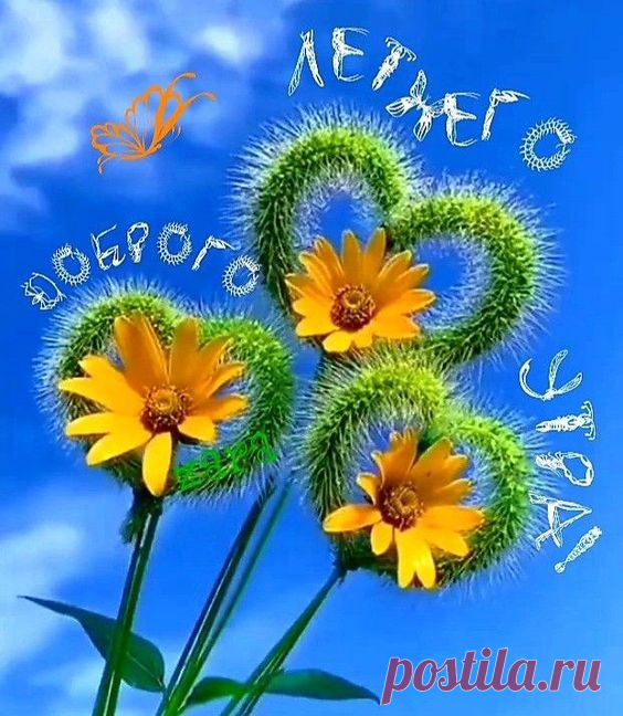 (1) Pinterest