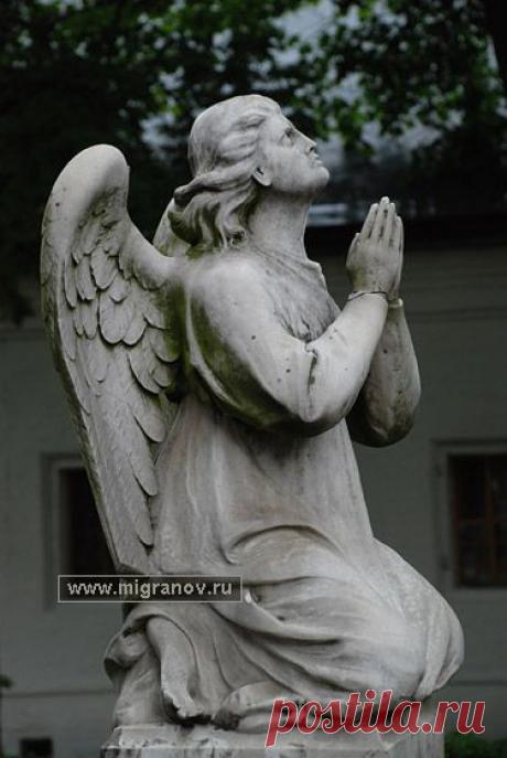 Фото ангела. Фотография, статуя ангел-хранитель молящийся. Рисунок, скульптура
