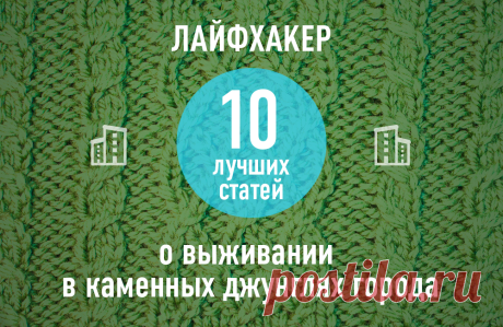 ТОП-10: Лучшие статьи о выживании в каменных джунглях города →