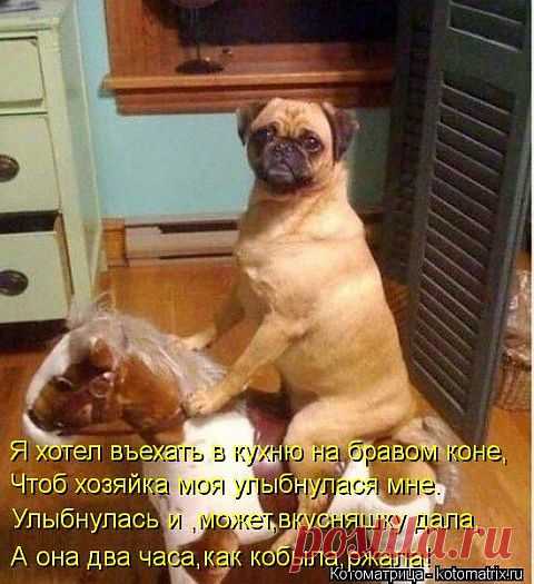 ржала и не оценила.....