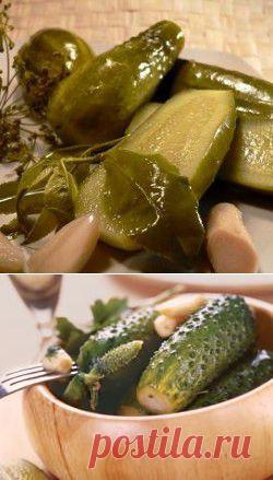 Огурцы на зиму в банках: соление, маринование, квашение - лучшие рецепты!