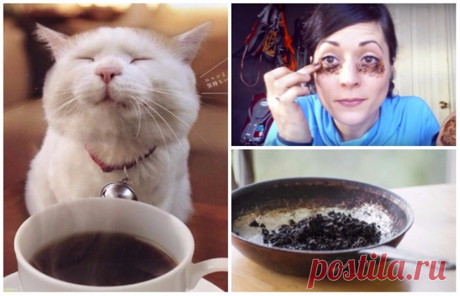 11 причин не выбрасывать кофейную гущу (для сада, красоты и семейного бюджета) . Милая Я