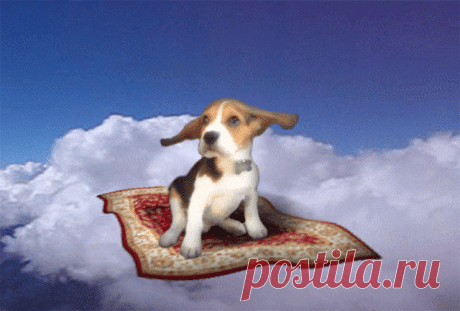 giphy.gif (Изображение GIF, 640 × 432 пикселов)
