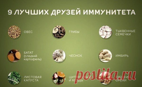 9 лучших друзей иммунитета