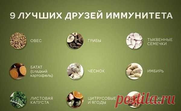 9 лучших друзей иммунитета
