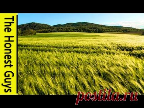 CAN'T SLEEP? GENTLE GUIDED SLEEP MEDITATION with Wind Nature Sounds