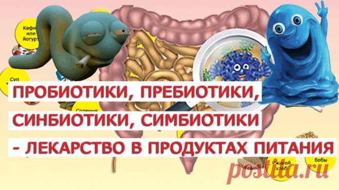 Пробиотики входят в состав различных пищевых продуктов, а также в лекарственные препараты и пищевые добавки. Они служат для восстановления кишечной микрофлоры и некоторых других функций. Количество бактерий в разных пробиотиках значительно варьирует в зависимости от рода, вида и штамма микроорганизмов, так как их влияние на организм человека не одинаково. Дозировки пробиотиков рассчитываются в колониеобразующих единицах (КОЕ). У людей с разными группами крови преобладают разные типы бактерий.