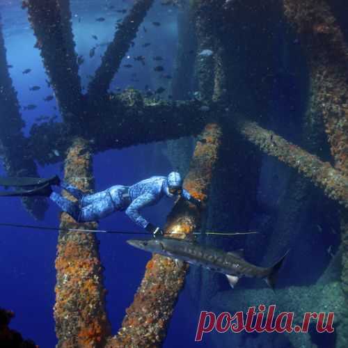 8 лучших на планете мест для фридайвинга