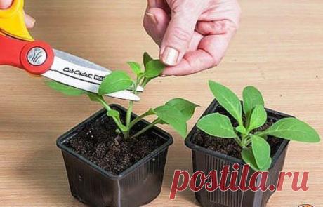 Вам сообщение!