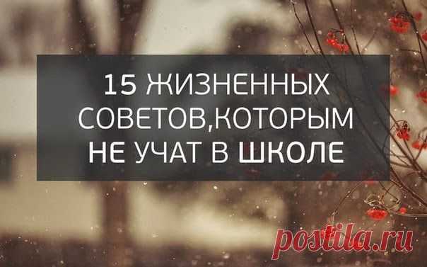 Этим жизненным советам не научат в школе!