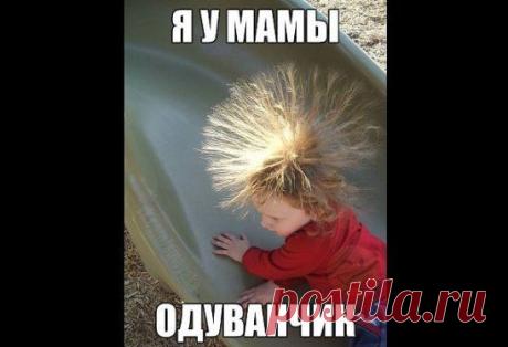 Фото приколы