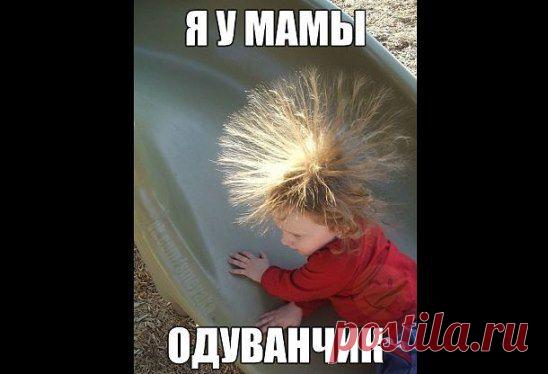 Фото приколы