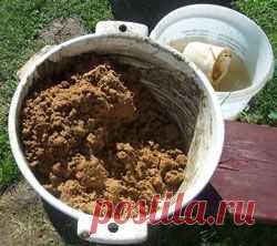 Тротуарные дорожки своими руками (мастер-класс)