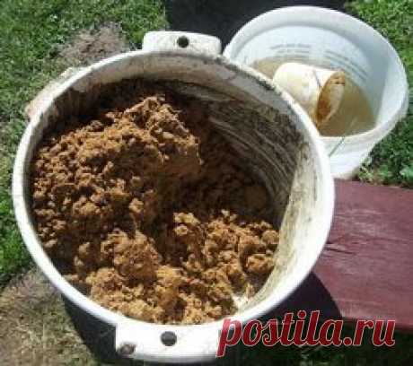 Тротуарные дорожки своими руками (мастер-класс)