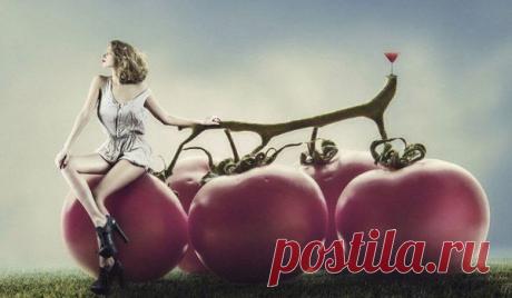 Фотографии на стене сообщества | 8 865 фотографий