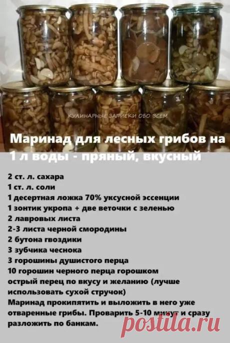 Мой Мир@Mail.Ru