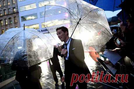 London Film Festival