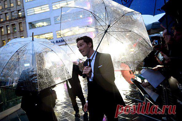 London Film Festival