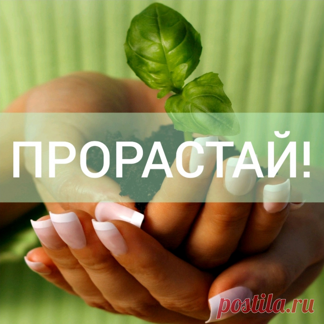 ПРОРАСТАЙ сквозь шелуху и мусор, который накопился за годы метаний, поисков себя и ненужной информации. 
Имей силу прорасти сквозь всю эту толщу, накопленную годами и даже десятилетиями. 
Дай волю пусть пока слабому, но в то же время выносливому ростку твоего истинного Я. 
Пусть он тянется всё выше и выше, становится крепче и ярче, и выйдет, наконец, на свет, видимый людям и всему окружающему миру. 
Этот цветок, распустившийся из твоих...