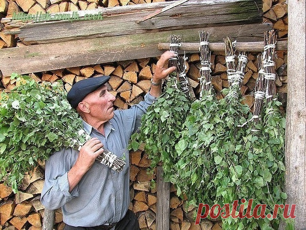 ПРАВИЛЬНЫЕ ВЕНИКИ ДЛЯ БАНИ!

Многие думают, что лучшее время для бани это вечер.
Потому что баня приятно расслабляет перед сном. Но знатоки уверяют, что если принимать баню правильно, то можно и взбодриться. Для этого стоит выбрать веник из рябины. Рябина возбуждает нервную систему, прекрасно тонизирует, заряжает организм силой и энергией на весь день.

➤ Самый популярный и распространенный в нашей стране березовый веник. Отличается тем, что прекрасно впитывает воду и когд...