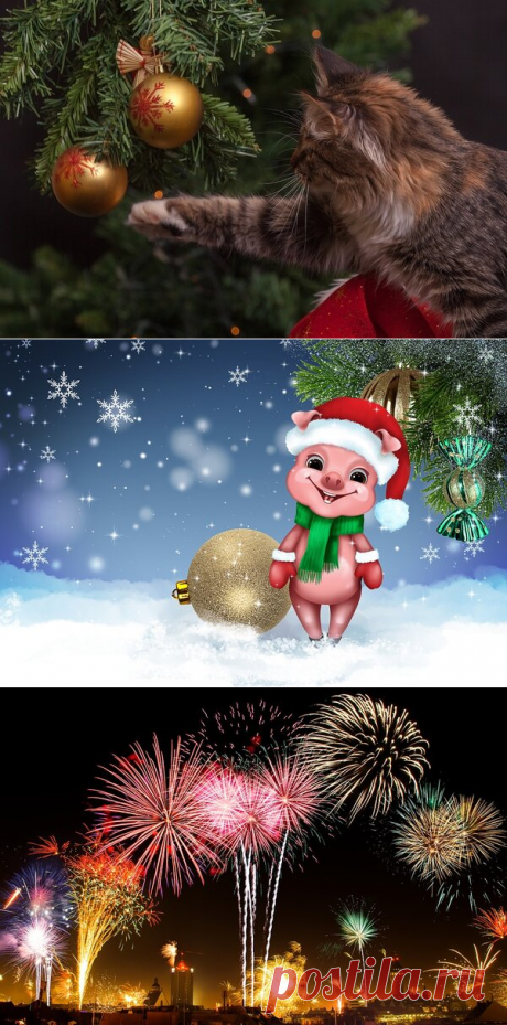 Новогодний стол за 1000 рублей – реально? | ЛИС&amp;ФИЗАЛИС | Яндекс Дзен