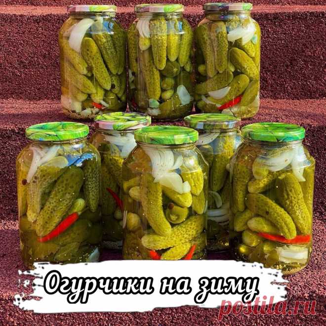 Доброго утро , мои дорогие друзья !!! 
Вчера днем мариновала на зиму , острые огурчики 🥒🥒🥒, сделала  8 банок по 1,5 литра и как обещала делюсь с вами своим очень вкусным и проверенным рецептом их приготовления  Рецепт , как говориться с пылу с жару , баночки ещё тёплые 
РЕЦЕПТ МАРИНОВАННЫХ ОГУРЧИКОВ 🥒🥒🥒‍: Огурчики получатся в меру сладковатыми  и остренькими , очень вкусными  они хороши , как для приготовления различных салатов , а так же , как самостоятельная заку...
