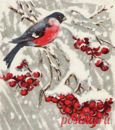 снегири зимой фото - Поиск в Google